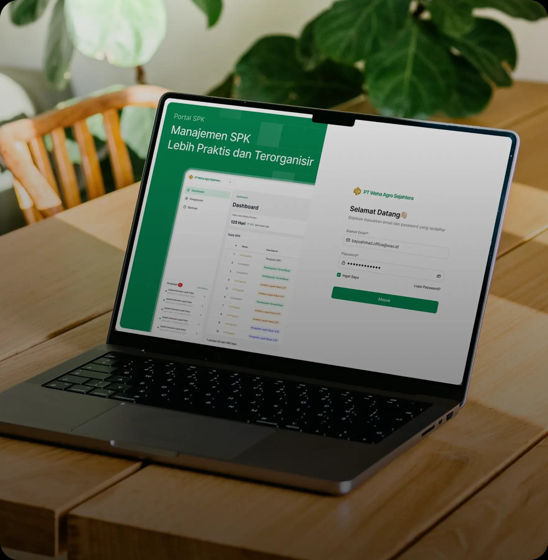 Article Background